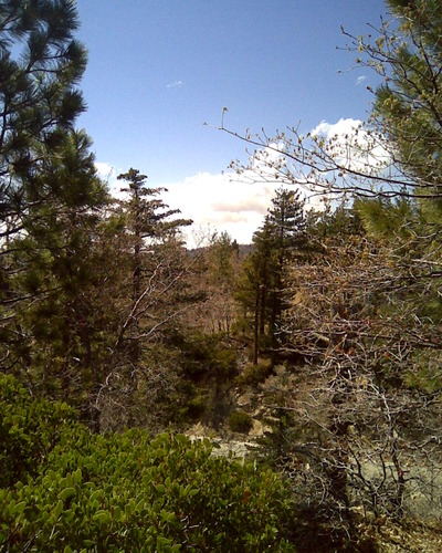 slideshow image